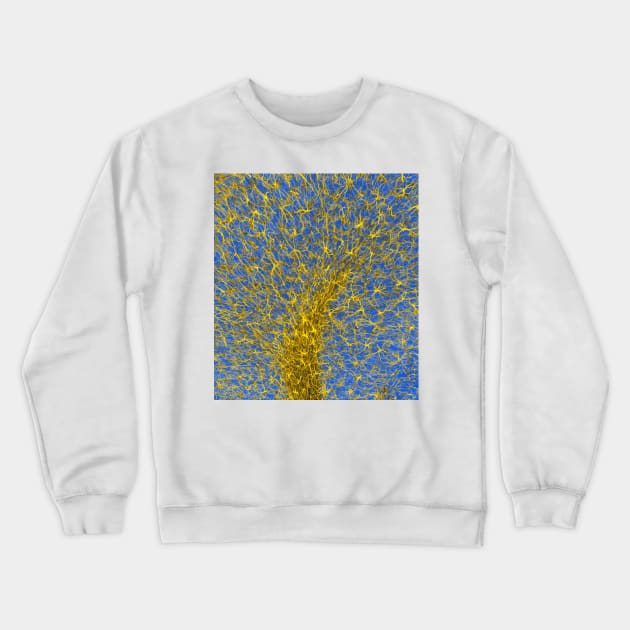 Glial cells, confocal light micrograph (C003/2266) Crewneck Sweatshirt by SciencePhoto